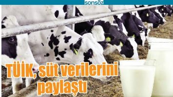 T&Uuml;İK, S&Uuml;T VERİLERİNİ PAYLAŞTI