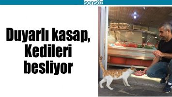 DUYARLI KASAP, KEDİLERİ BESLİYOR