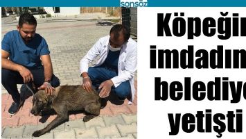 K&Ouml;PEĞİN İMDADINA BELEDİYE YETİŞTİ