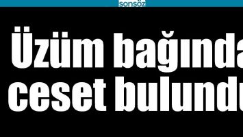 &Uuml;Z&Uuml;M BAĞINDA CESET BULUNDU