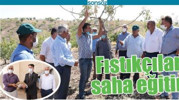 FISTIK&Ccedil;ILARA SAHA EĞİTİMİ