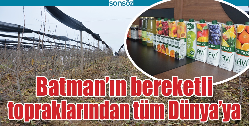 BATMAN&rsquo;IN BEREKETLİ TOPRAKLARINDAN T&Uuml;M D&Uuml;NYA&rsquo;YA