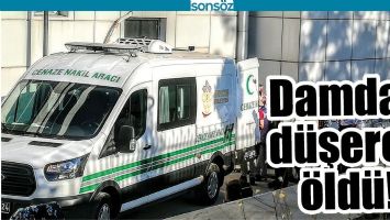 DAMDAN D&Uuml;ŞEREK &Ouml;LD&Uuml;!