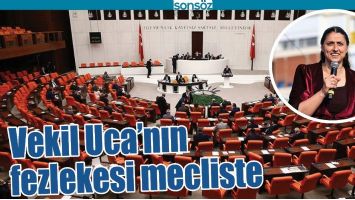 VEKİL UCA&rsquo;NIN FEZLEKESİ MECLİSTE