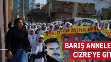 BARIŞ ANNELERİ, CİZRE&rsquo;YE GİTTİ