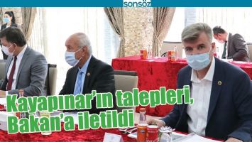 KAYAPINAR&rsquo;IN TALEPLERİ, BAKAN&rsquo;A İLETİLDİ