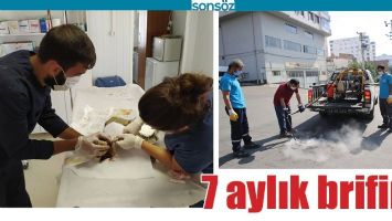 7 AYLIK BRİFİNG