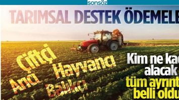 TARIMSAL DESTEKLER BELİRLENDİ