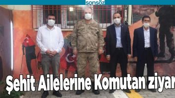ŞEHİT AİLELERİNE KOMUTAN ZİYARETİ