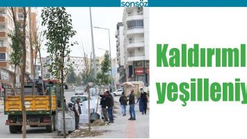 KALDIRIMLAR YEŞİLLENİYOR