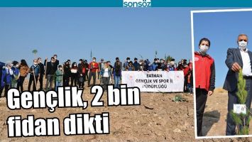 GEN&Ccedil;LİK, 2 BİN FİDAN DİKTİ