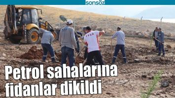 PETROL SAHALARINA FİDANLAR DİKİLDİ