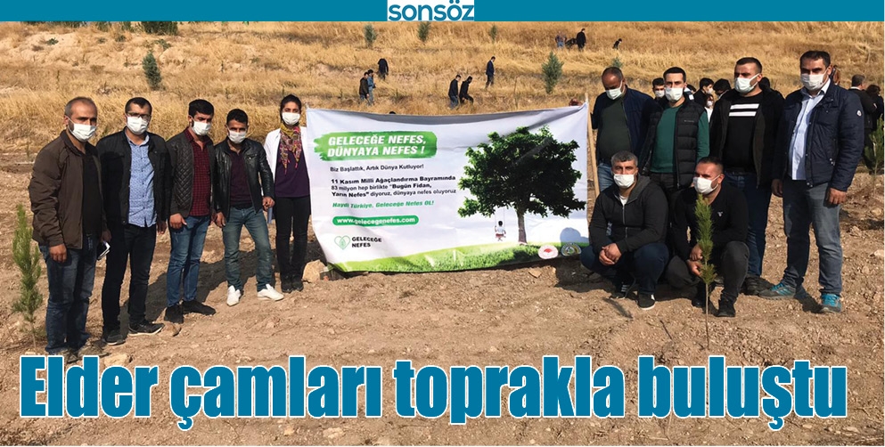 ELDER &Ccedil;AMLARI TOPRAKLA BULUŞTU