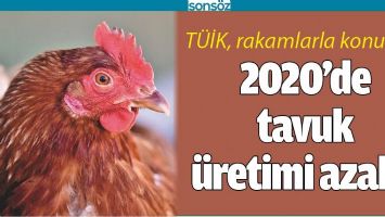 2020&rsquo;DE TAVUK &Uuml;RETİMİ AZALDI