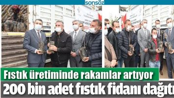 200 BİN ADET FISTIK FİDANI DAĞITILDI
