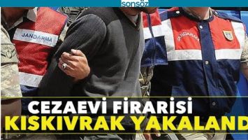 JANDARMA, FİRARİ ŞAHSI YAKALADI!