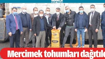 MERCİMEK TOHUMLARI DAĞITILDI