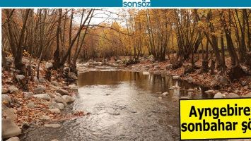 AYNGEBİRE&rsquo;DE SONBAHAR Ş&Ouml;LENİ