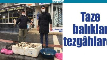TAZE BALIKLAR TEZG&Acirc;HLARDA