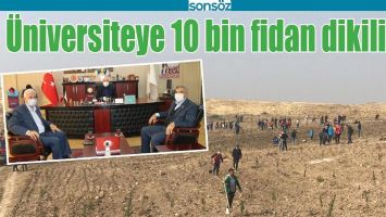 &Uuml;NİVERSİTEYE 10 BİN FİDAN DİKİLİYOR