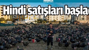 HİNDİ SATIŞLARI BAŞLADI