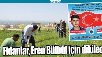 FİDANLAR, EREN B&Uuml;LB&Uuml;L İ&Ccedil;İN DİKİLECEK
