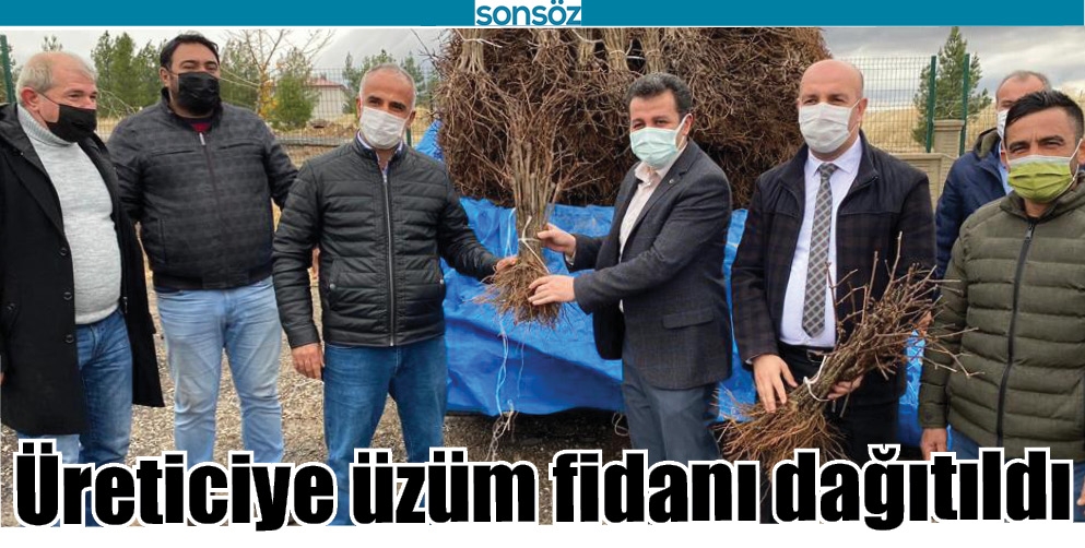 &Uuml;RETİCİYE &Uuml;Z&Uuml;M FİDANI DAĞITILDI