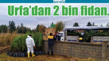 URFA&rsquo;DAN 2 BİN FİDAN&hellip;