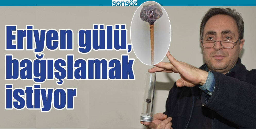 BATMAN'DA ERİYEN G&Uuml;L&Uuml;, BAĞIŞLAMAK İSTİYOR