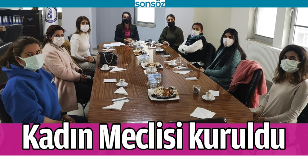 BATMAN'DA KADIN MECLİSİ KURULDU