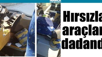 BATMAN'DA HIRSIZLAR, ARA&Ccedil;LARA DADANDI!