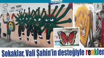 SOKAKLAR, VALİ ŞAHİN&rsquo;İN DESTEĞİYLE RENKLENİYOR