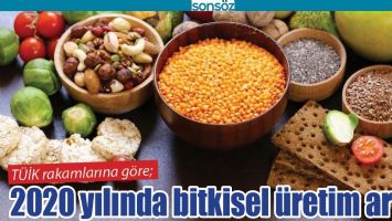 2020 YILINDA BİTKİSEL &Uuml;RETİM ARTTI