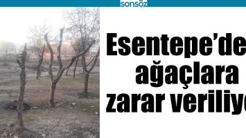 ESENTEPE'DEKİ AĞA&Ccedil;LARA ZARAR VERİLİYOR