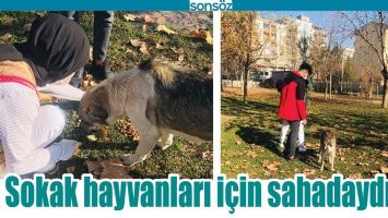 SOKAK HAYVANLARI İ&Ccedil;İN SAHADAYDILAR