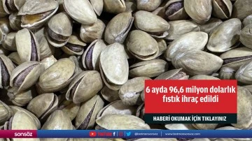 6 ayda 96,6 milyon dolarlık fıstık ihra&ccedil; edildi