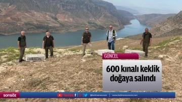 600 kınalı keklik doğaya salındı
