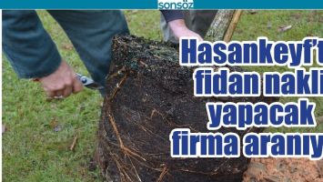HASANKEYF'TE FİDAN NAKLİ YAPACAK FİRMA ARANIYOR