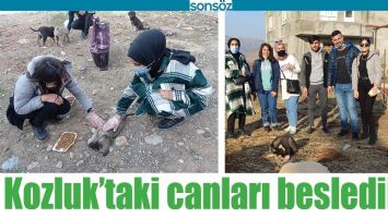 KOZLUK&rsquo;TAKİ CANLARI BESLEDİLER