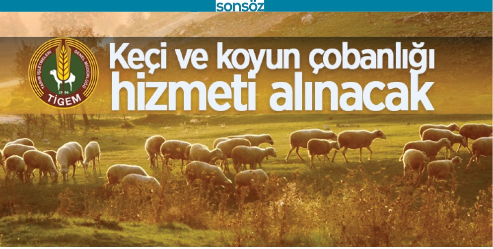 &Ccedil;OBAN ALINACAK