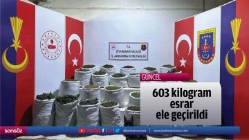 603 kilogram esrar ele ge&ccedil;irildi