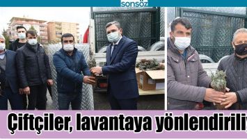 &Ccedil;İFT&Ccedil;İLER, LAVANTAYA Y&Ouml;NLENDİRİLİYOR