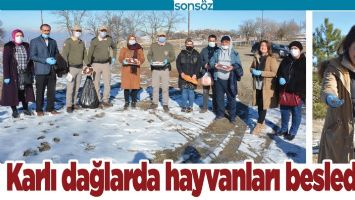 KARLI DAĞLARDA HAYVANLARI BESLEDİLER