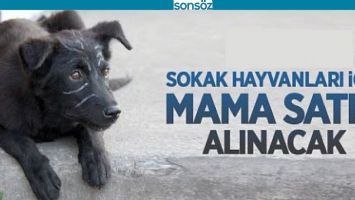 MAMA ALINACAK