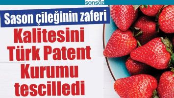 SASON &Ccedil;İLEĞİNİN ZAFERİ