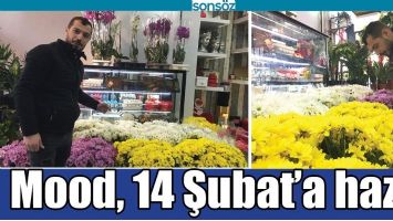 MOOD, 14 ŞUBAT&rsquo;A HAZIR