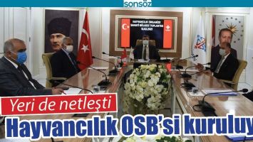 BATMAN'DA HAYVANCILIK OSB&rsquo;Sİ KURULUYOR