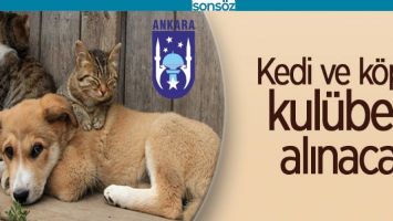 KEDİ VE K&Ouml;PEK KUL&Uuml;BESİ ALINACAK