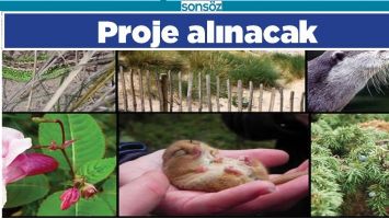 PROJE ALINACAK