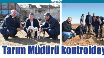 TARIM M&Uuml;D&Uuml;R&Uuml; KONTROLDEYDİ
